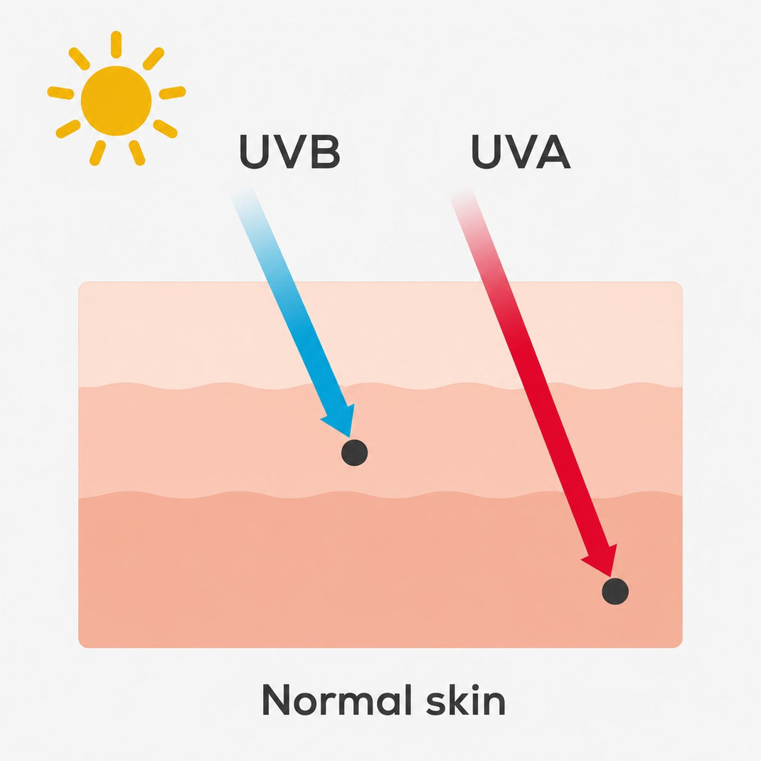UVA and UVB: What's the Difference and Why Does It Matter? – Maxiblock