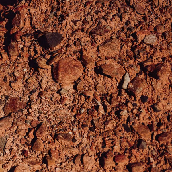 Close-up of dry, cracked red earth.
